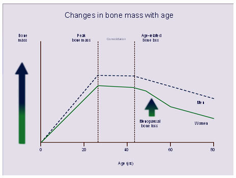 Muscle Loss With Age Chart