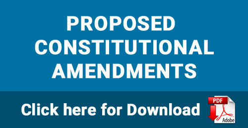 proposed-constitutional-amendmend